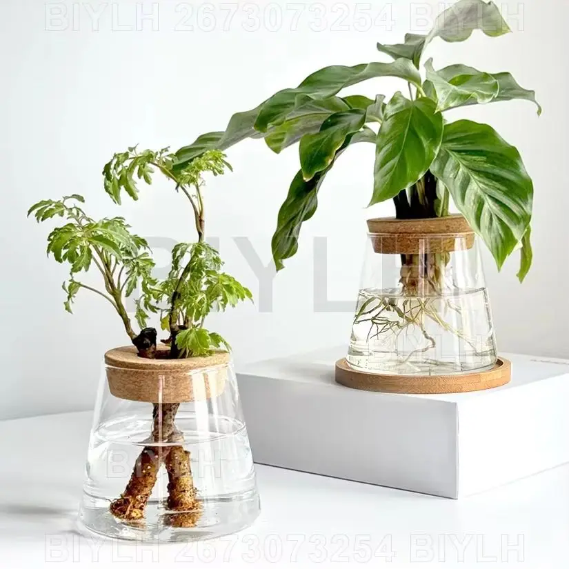 

2/1 Pcs Hydroponic Plants Glass Flower Pots Home Decoration Transparent Small Vase Plant Pots With Base Tray Garden Accessories