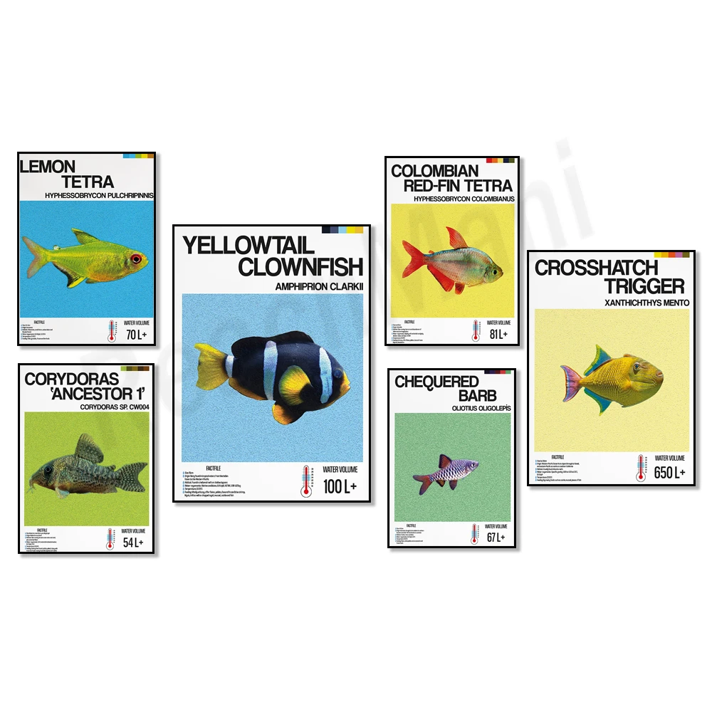 Aquarium, yellow tail clownfis - Tetra Fish In Aquarium recension och pris