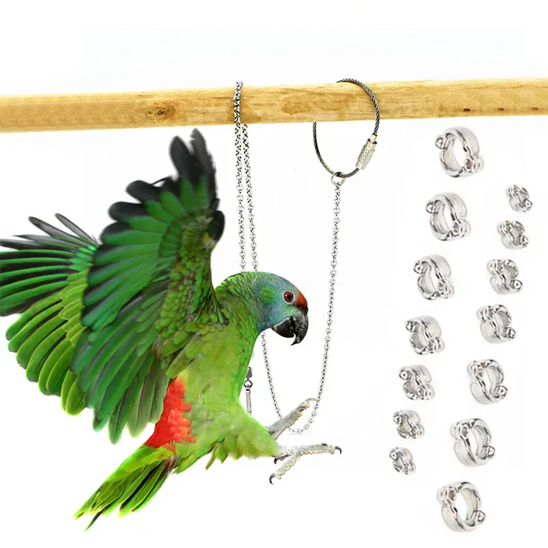 Stainless Steel Parrot Chain Bird Foot Ring Stand Chain Parrot Rope Bird Chain Anti Bite Wire Rope Outdoor Flying Training