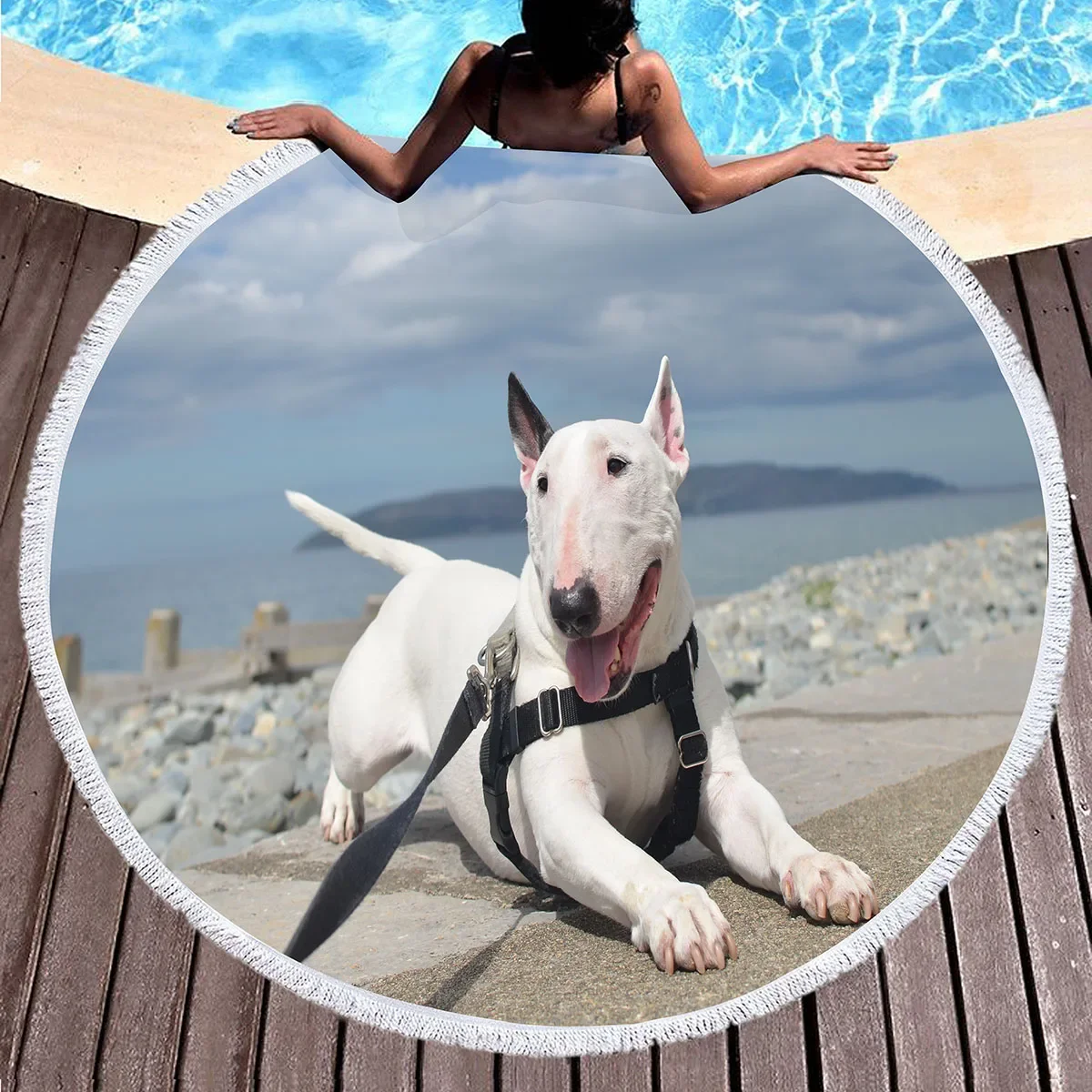منشفة شاطئ مستديرة للكلاب من Bull Terrier، بطانية شاطئ لطيفة من الألياف الدقيقة الناعمة للحيوانات الأليفة، منشفة حمام سباحة ماصة سريعة الجفاف، سجادة نزهة محمولة #3