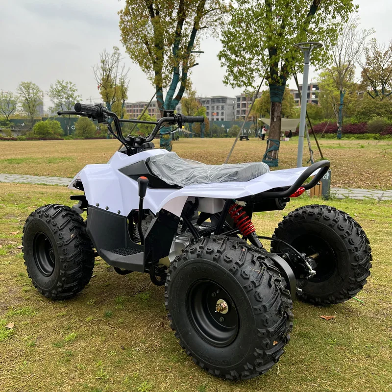 Four-stroke automatic chain transmission, two-wheel drive, four-wheel vehicle, all-terrain beach off-road vehicle, mountain bike