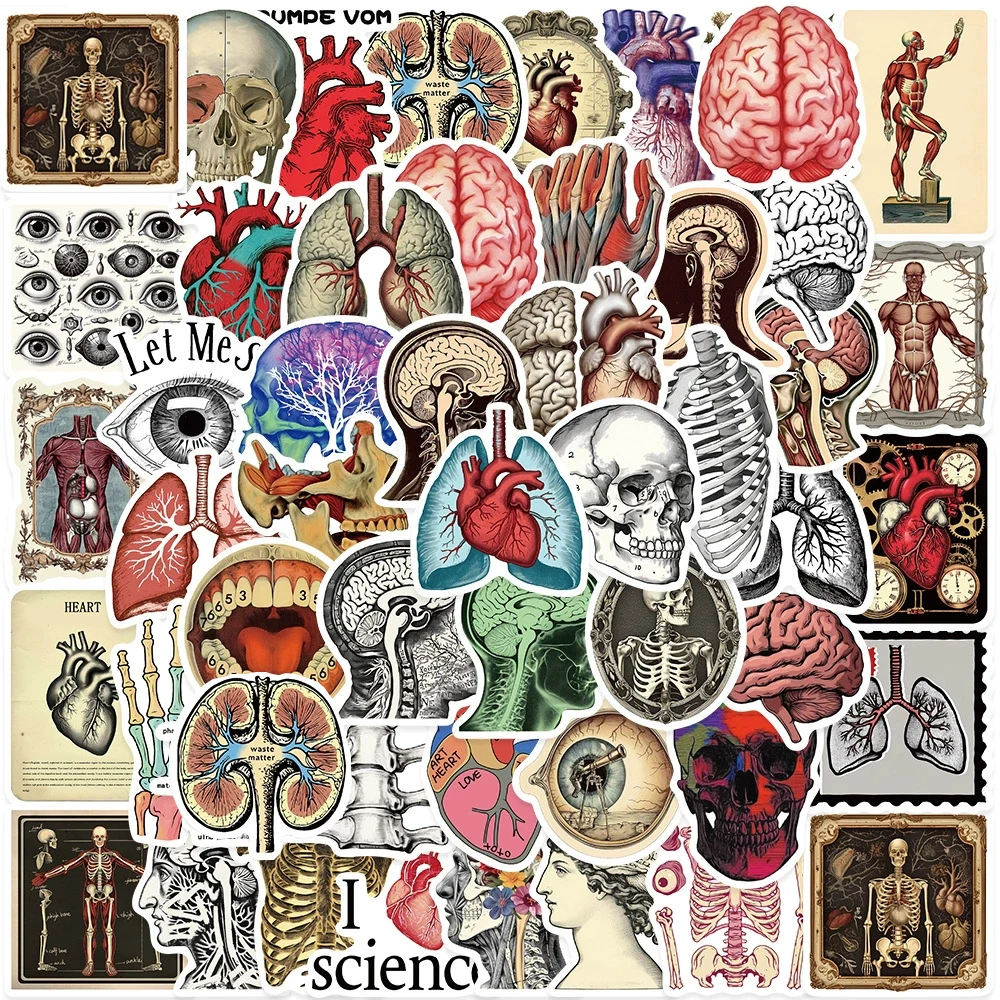 10/30/50pcs Cartoon Retro Scientific Anatomy Stickers Decals DIY Laptop Fridge Phone Skateboard Car Waterproof Sticker Kids Toys