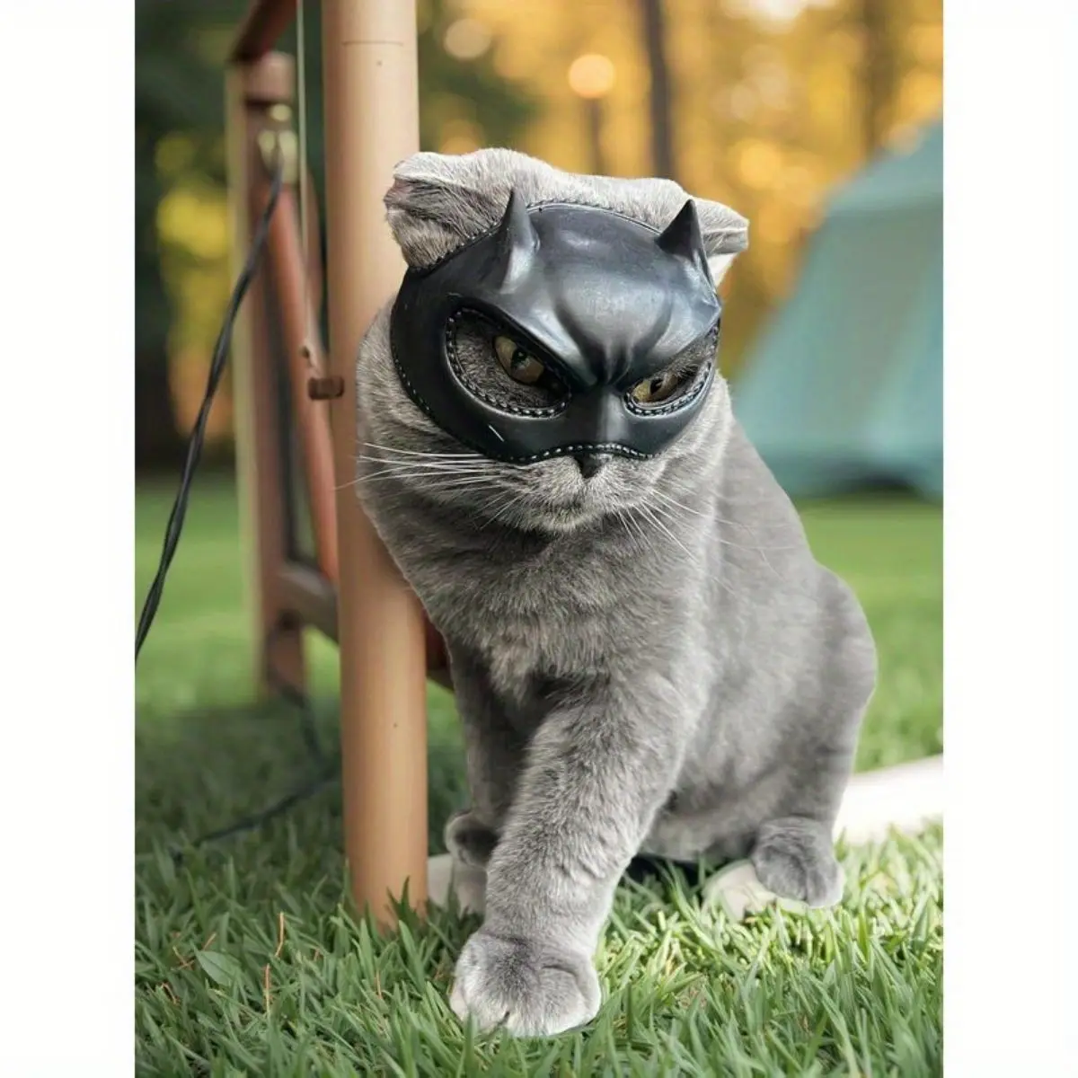 قناع الخفافيش للقطط، غطاء رأس للعب الأدوار، مادة اللاتكس، إكسسوار أزياء للحيوانات الأليفة الناعمة والشكل، قطة غريبة الأطوار ورائعة #2