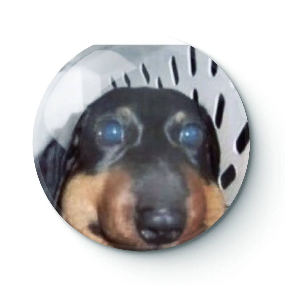 DOG MEME 034 Buttons Brooches Pin Jewelry Accessory Customize Brooch Fashion Lapel Badges