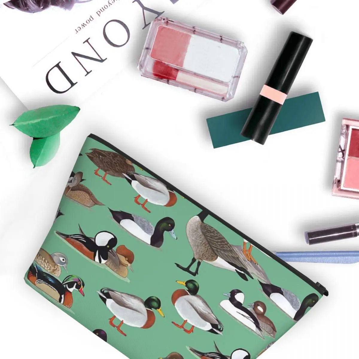 North American Duck… - image