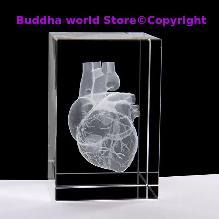 

Good gift - medicine Medical Science Internal medicine Doctor heart Figurine 3D Crystal ART statue -FREE SHIPPING cost