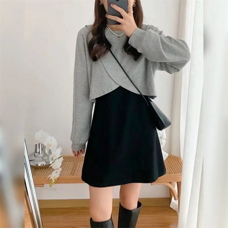 Korean Style Two Piece Dress Hooded Cropped Sweatshirt Sleeveless Waist Tunic Daily Casual Outfit