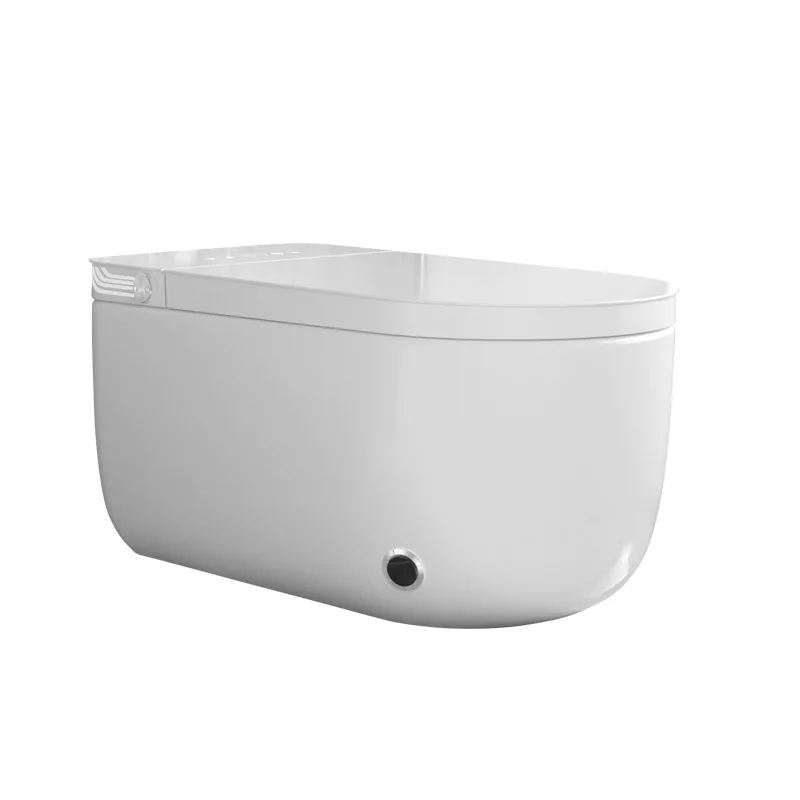 Small Apartment Smart Toilet Remote Control Heated Seat Automatic Deodorization Floor Mounted Ceramic Squatting Waterless view 2
