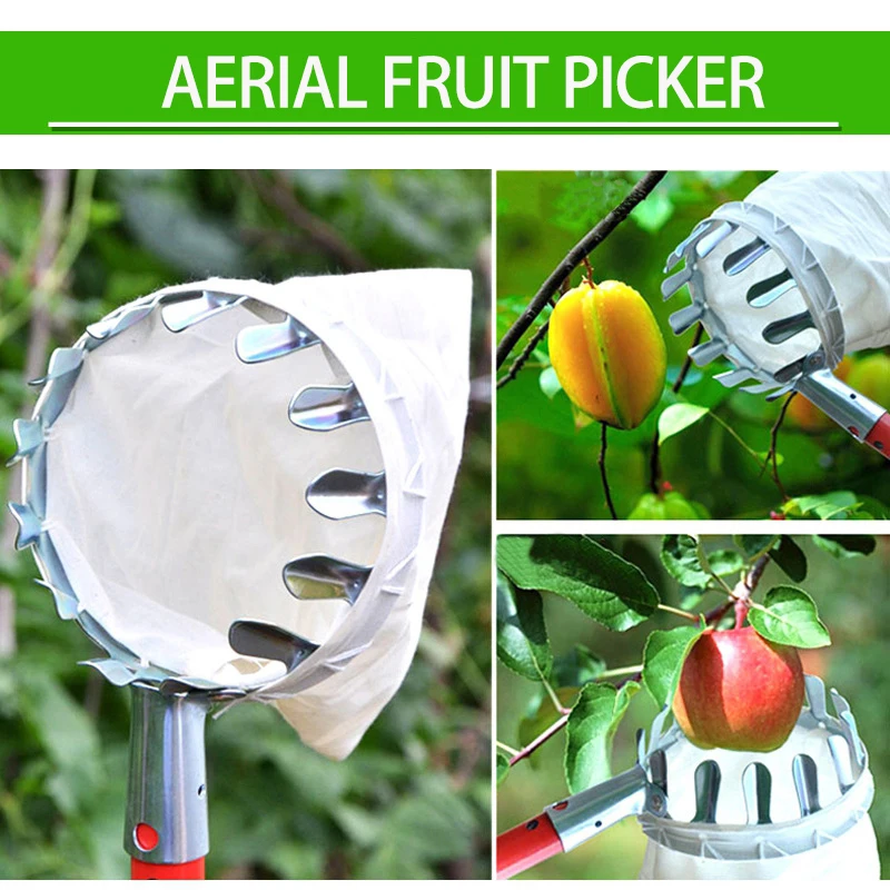 Imagem -06 - Metal Fruit Picker Pomar Jardinagem Apple Peach Ferramentas Colheita Alta Árvore Coletor Frutas Ferramentas Jardinagem Ferramentas Jardinagem