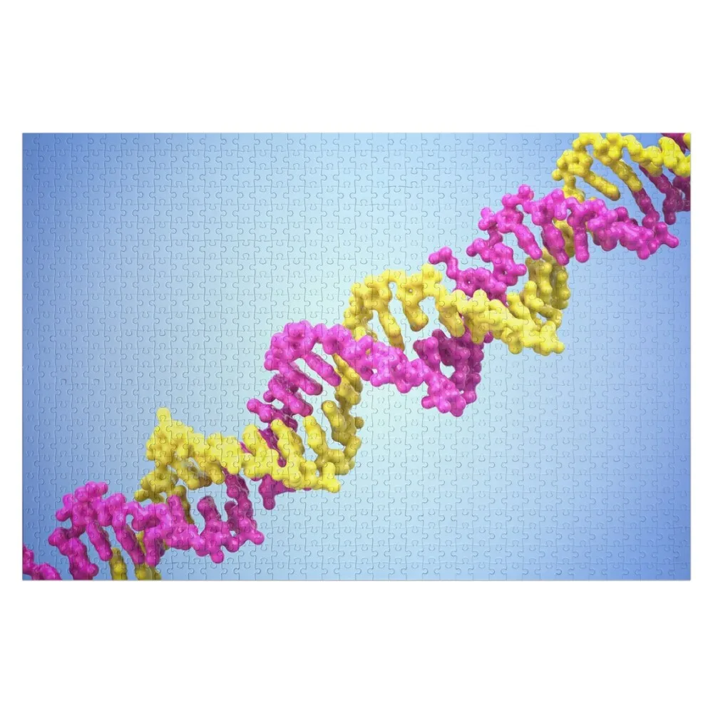 

DNA Jigsaw Puzzle Personalized Baby Toy Customized Picture Wooden Jigsaws For Adults Photo Puzzle