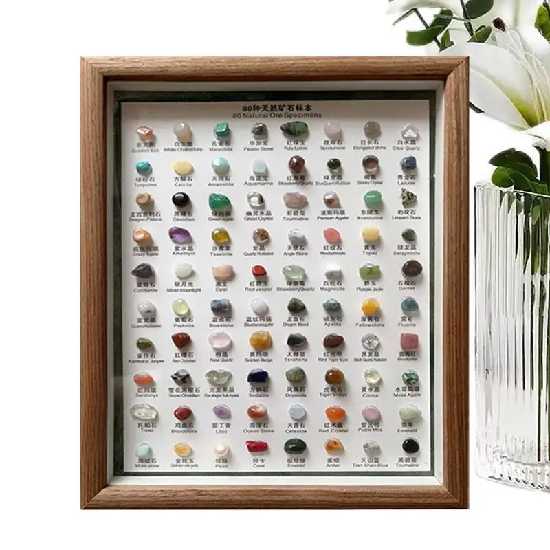 80pcs Mineral Stone Decorations Modern Unique Natural Ores Specimen 80 Patterns For Classroom Home Office Room Study Decor