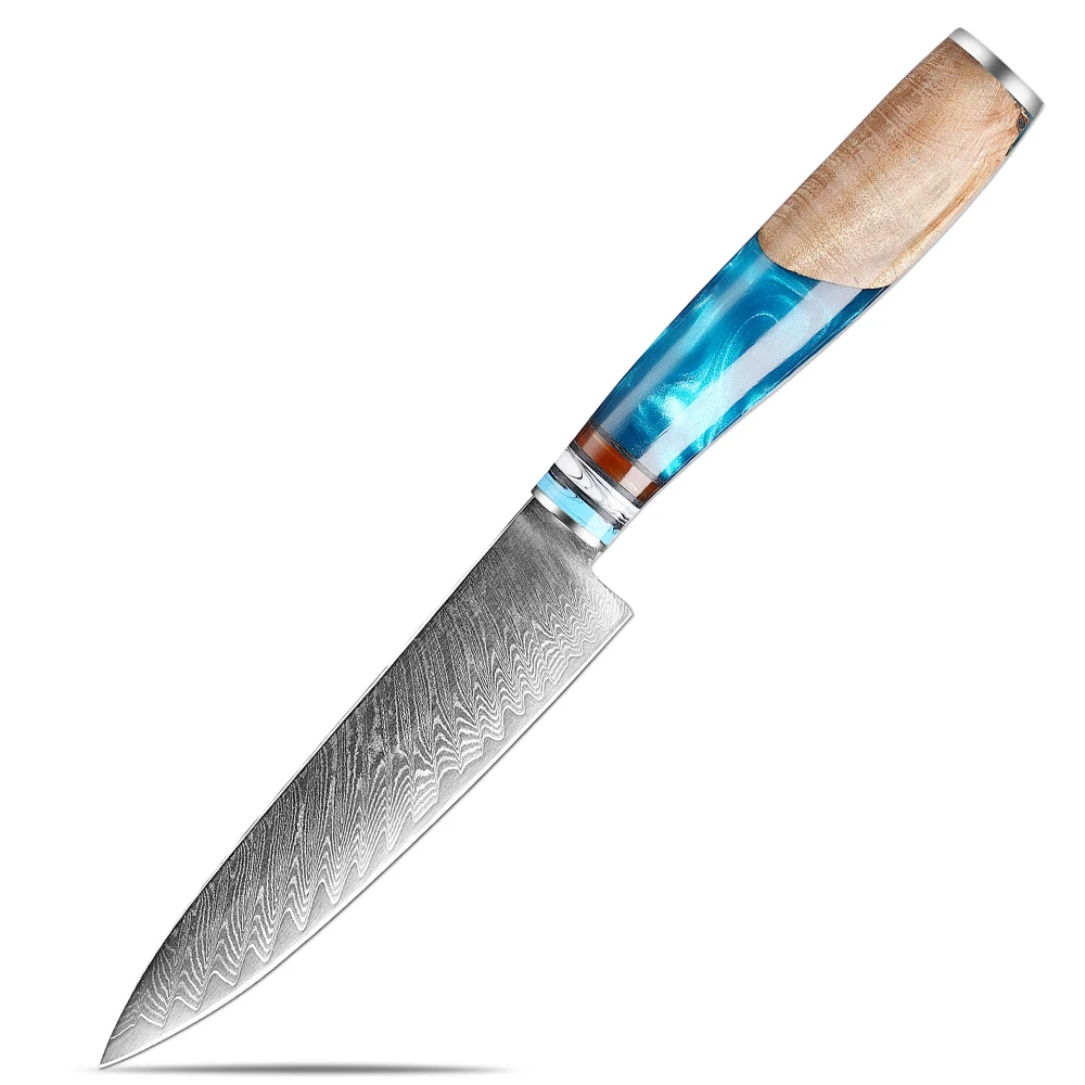 Japanese Utility Knife 5 Inch Damascus 67-Ply VG10 Steel Sharp Small Chef Knife Pro Fruit Paring Knife Blue Resin Wooden Handle