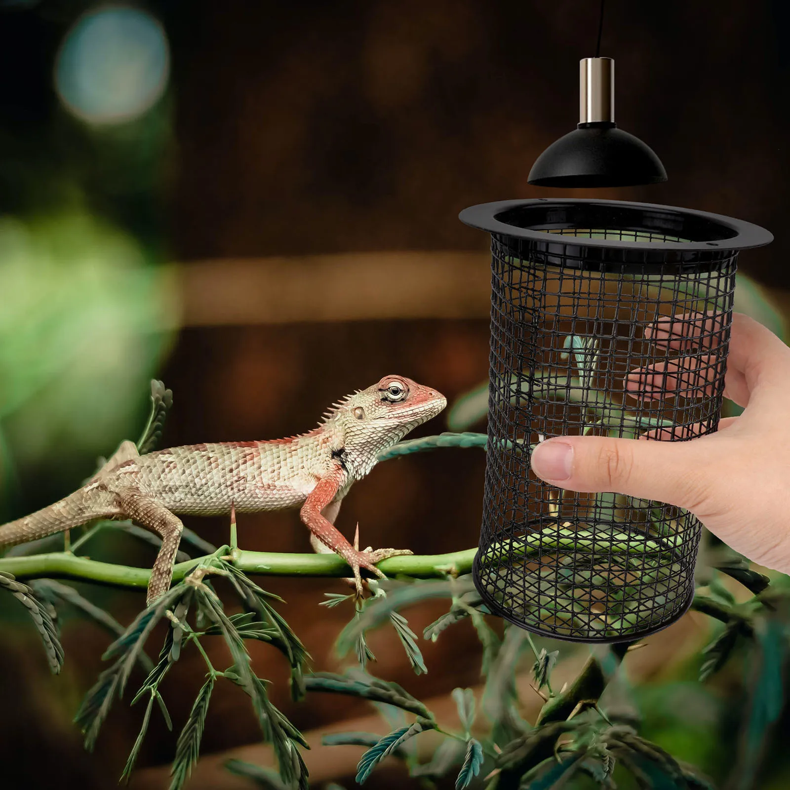 

1pc Reptile Lamp Cover Round Iron Anti-Scald Heating Lampshade For Terrarium Supplies Lighting Accessory