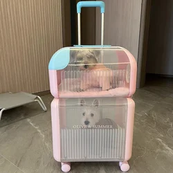 Outdoors Cat Strollers 2cats 4 Wheels Big Cat Strollers Cute Transparent Pet Stroller Cheap Portable Double Box Pets Supplies