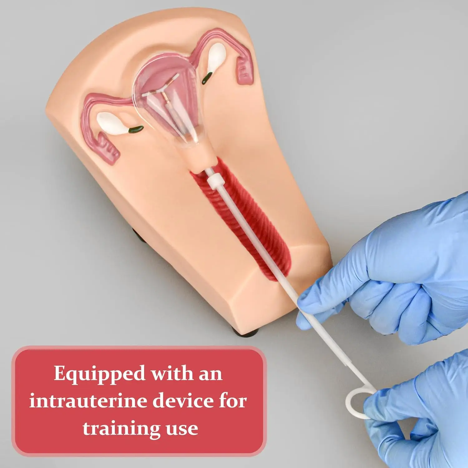 Ultrassist IUD Training Model Kit Insertion & Removal Practice Placement Guidance Uterine Anatomy for Gynecology Student Educate