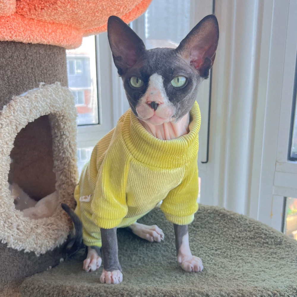 Warm Fleece Sweater for Cat 4-legged Winter Coat for Sphynx Cat Yellow Sweatshirt for Kittens Dogs Soft Loungewear for Devon Rex