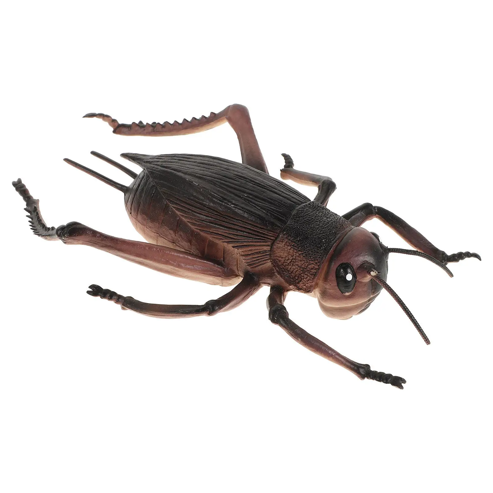 Compact Exquisite Retro Cricket Statue Desktop Ornament Tabletop Decor for Office Home Living Room Fireplace Coffee Table