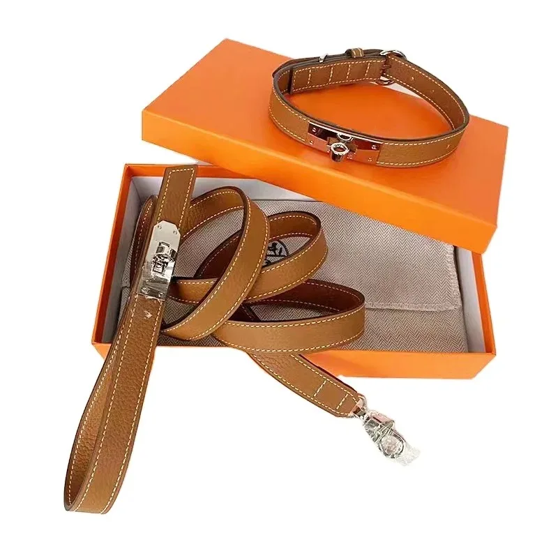 

Wholesale Puppy Collar and Leash Set Classic Fashion Designer Pet Leash Ins Hot