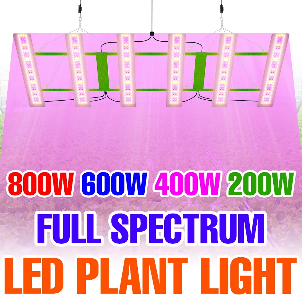 

800W Full Spectrum LED Grow Lights UV IR Quantum Board Plant Fill Lamp Greenhouse Tent Vegs Seedling Succulent Flowers Lighting