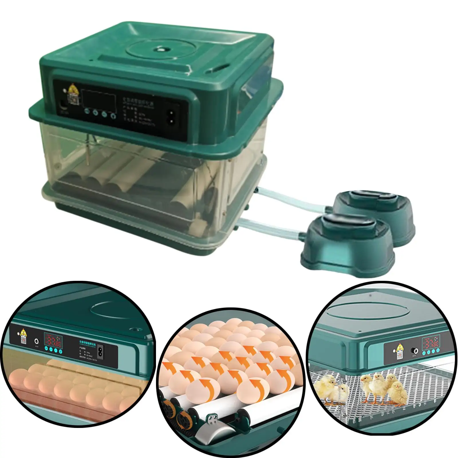 

Automatic Egg Incubator Digital Chicken Hatcher 10 Eggs Poultry Hatching Machine Temperature Control for Goose Quail Chicken