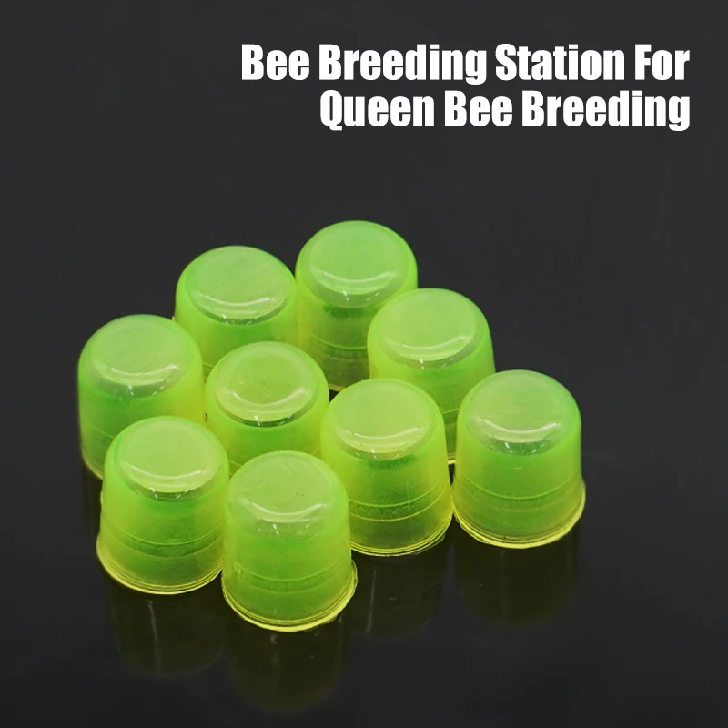 120/240/480 PCS Bee Queen Rearing King Cups Green Color Cells Cages Room Cups Cell Cage Cup Bees Tools Beekeepers Equipment