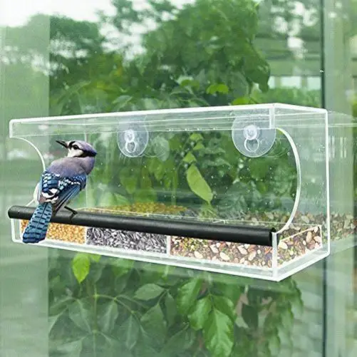 Feeder Window Suction Window with Suction Cup Balcony Bird-Attracting Cloth Rain-Proof Hanging Acrylic Bird Food Container