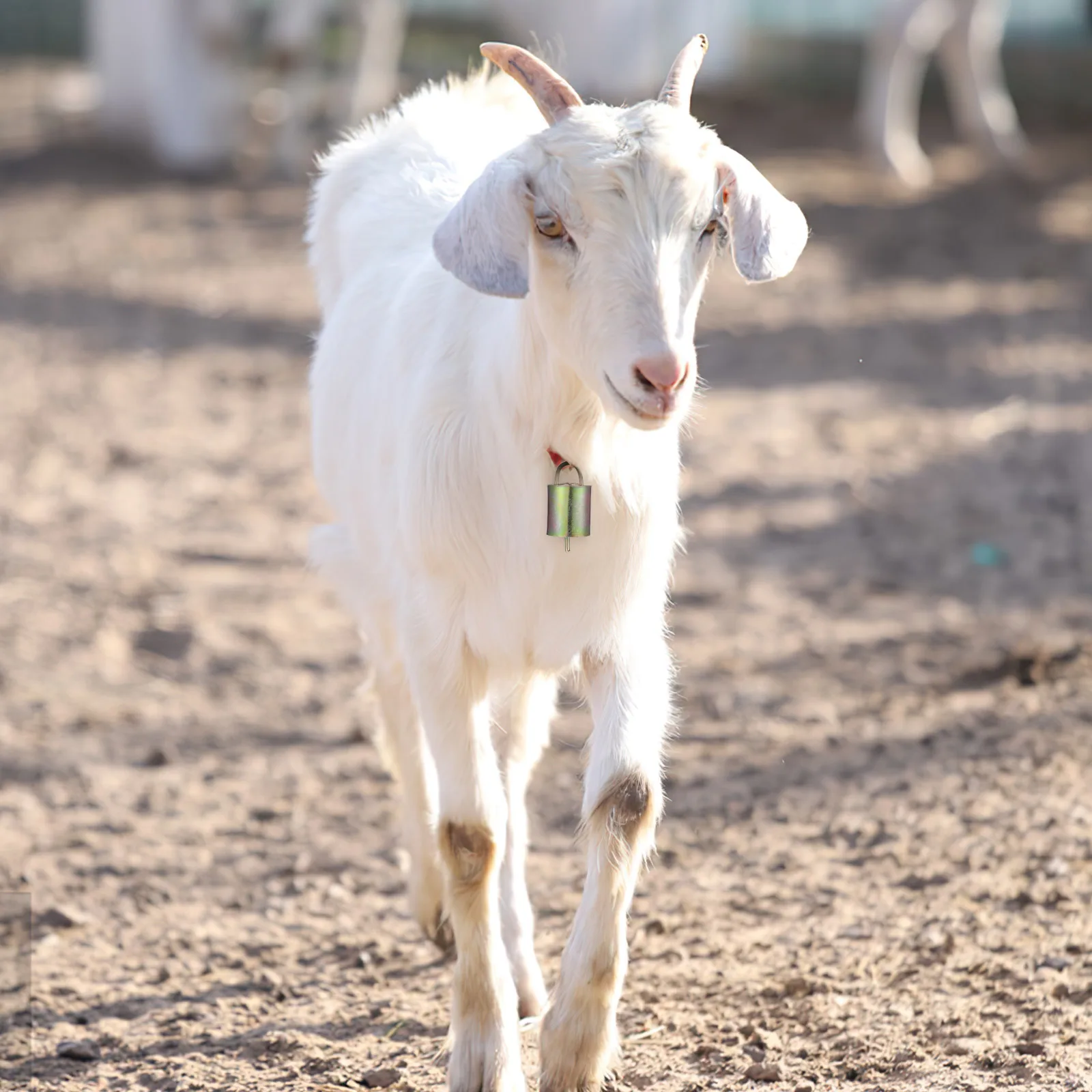 

8pcs Cattle Sheep Bells Loud Sound Durable Copper Goat Collar Farm Animal Grazing Jingle Metal Cow Bells Christmas Decorations