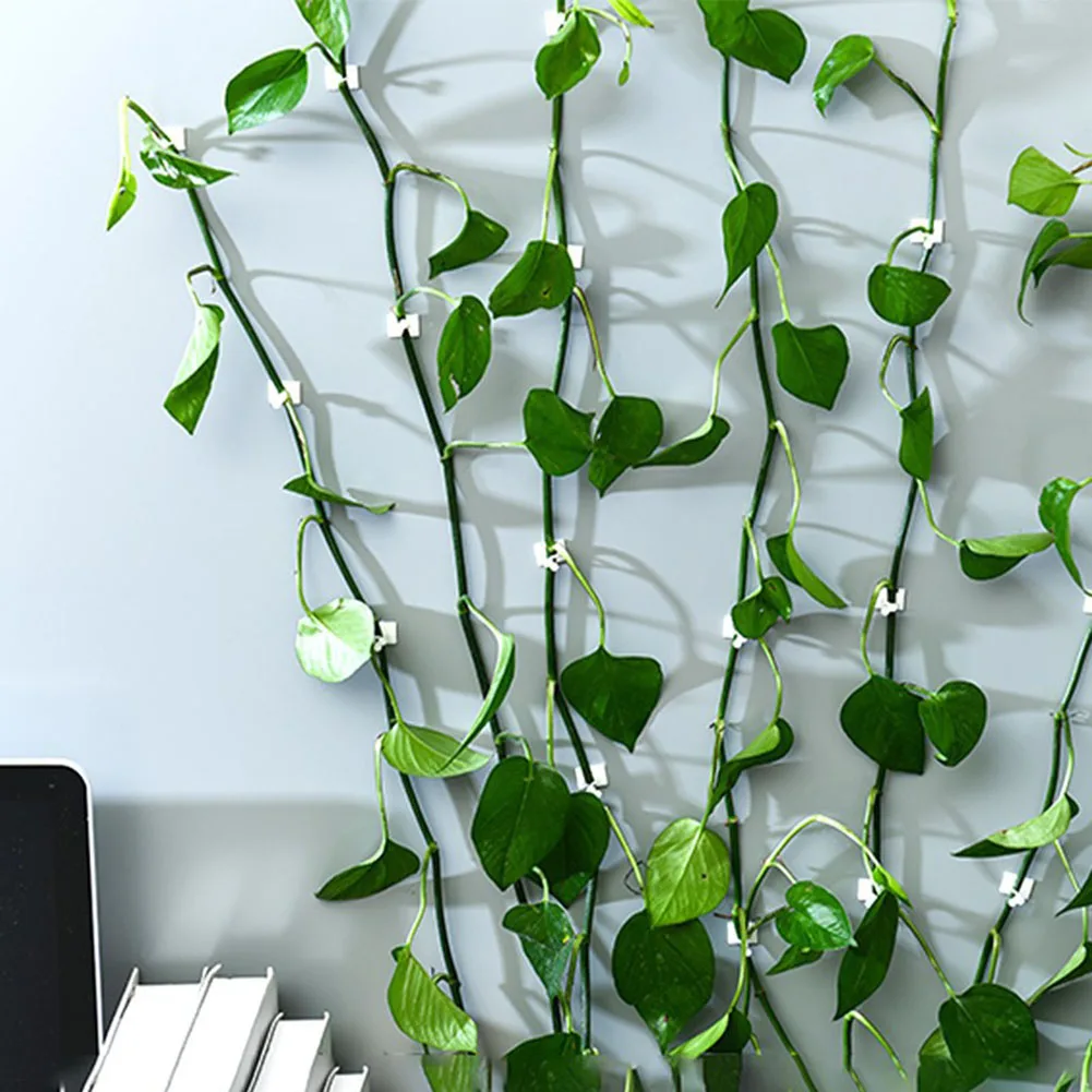 High Quality Plant Clips Pothos Clip PP Plant Holder Wall Mount 60 Pieces Easy Installation Flexible For Tiles/marble/glass