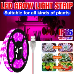 LED Grow Lights USB Phytolamp Waterproof Plants Diode 0.5M 1M 2M 3M Indoor Cultivation Lamp For Seedlings Flower Seeds Grow Box