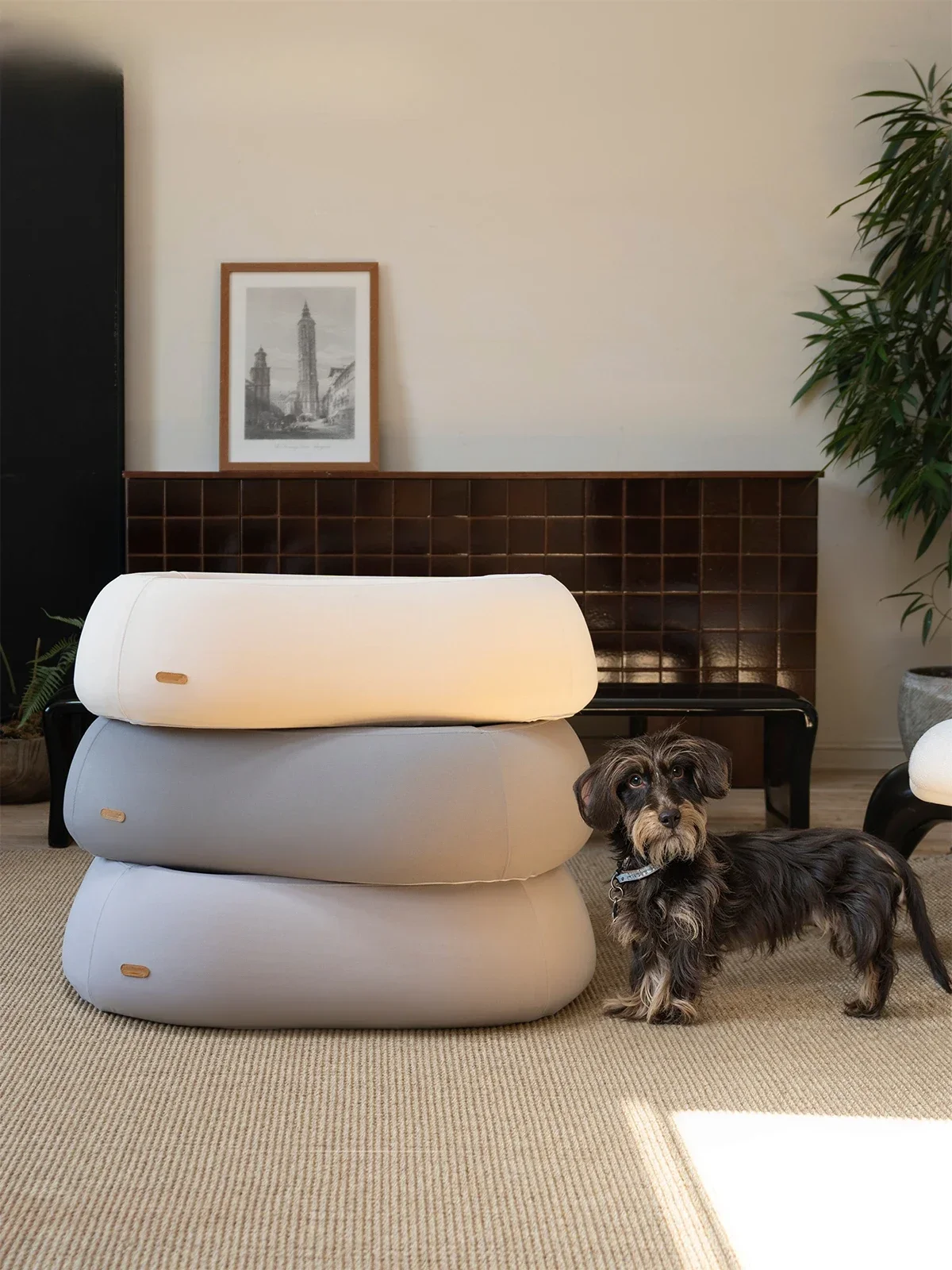FancyHalo Blomus series, high rebound sponge pet bed, universal for cats and dogs in all seasons