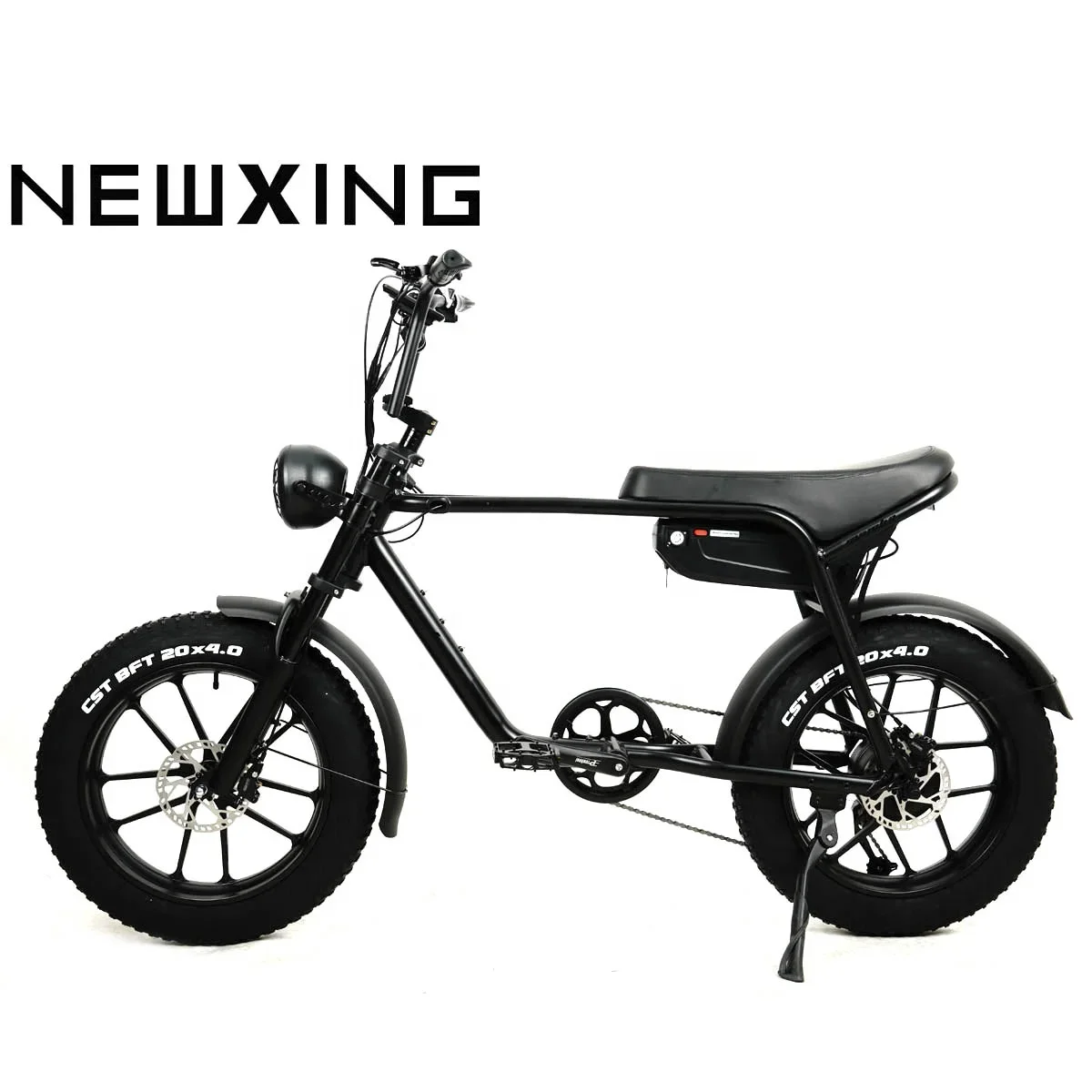 EU warehouse 17Ah Lithium Battery Bicycle Ebike Family Cargo Bike 750W High speed Motor eBike NEWXING NK20  Tire ebike