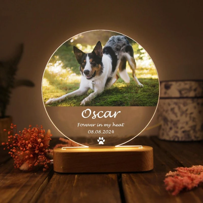 

Настольный светильник с эмблемой «Пушистый друг» для любителей кошек и собак – уникальный подарок на тему домашних животных для семейных праздников, вечеринок и домашнего декора