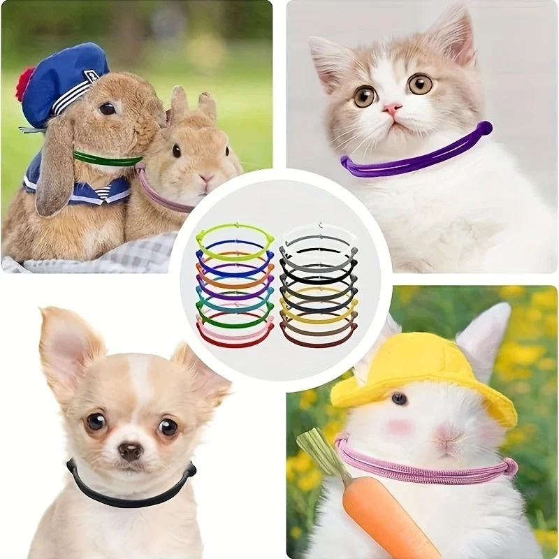 Thumbnail 2 - #36 Compare Puppy Collars Before You Buy