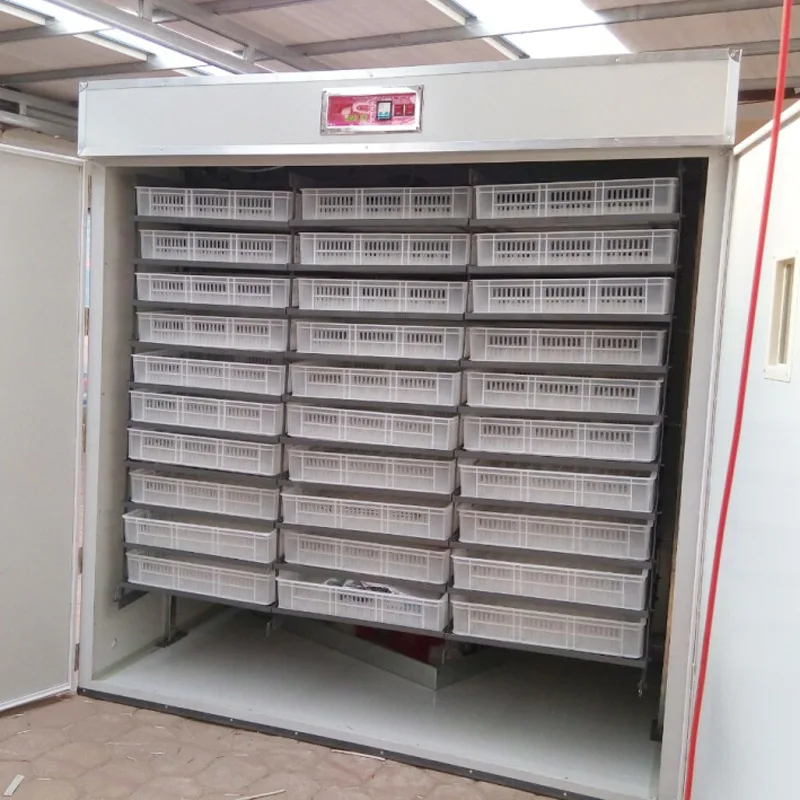 Machine électrique industrielle de couveuse d'incubateur d'oeufs de capacité