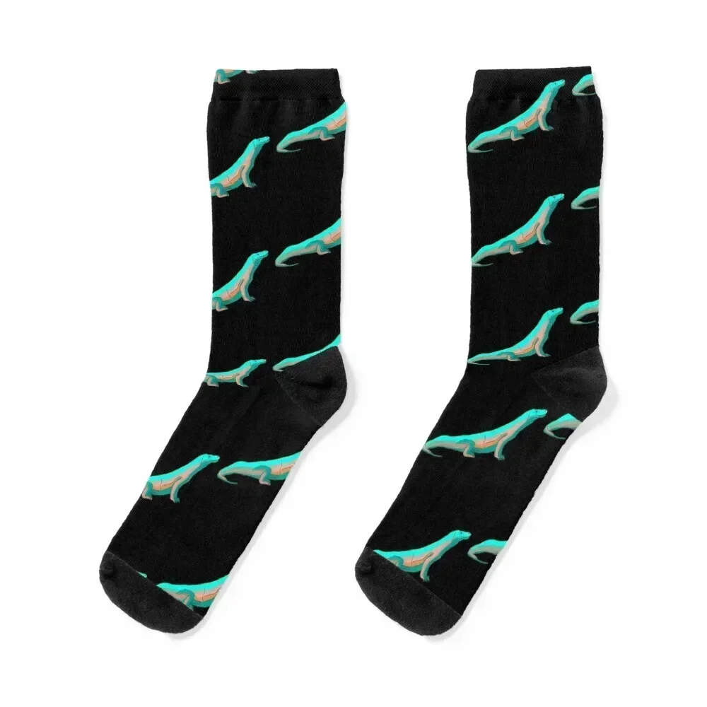 Komodo Dragon tosca illustration Socks crazy gifts Non-slip Men Socks Luxury Brand Women's