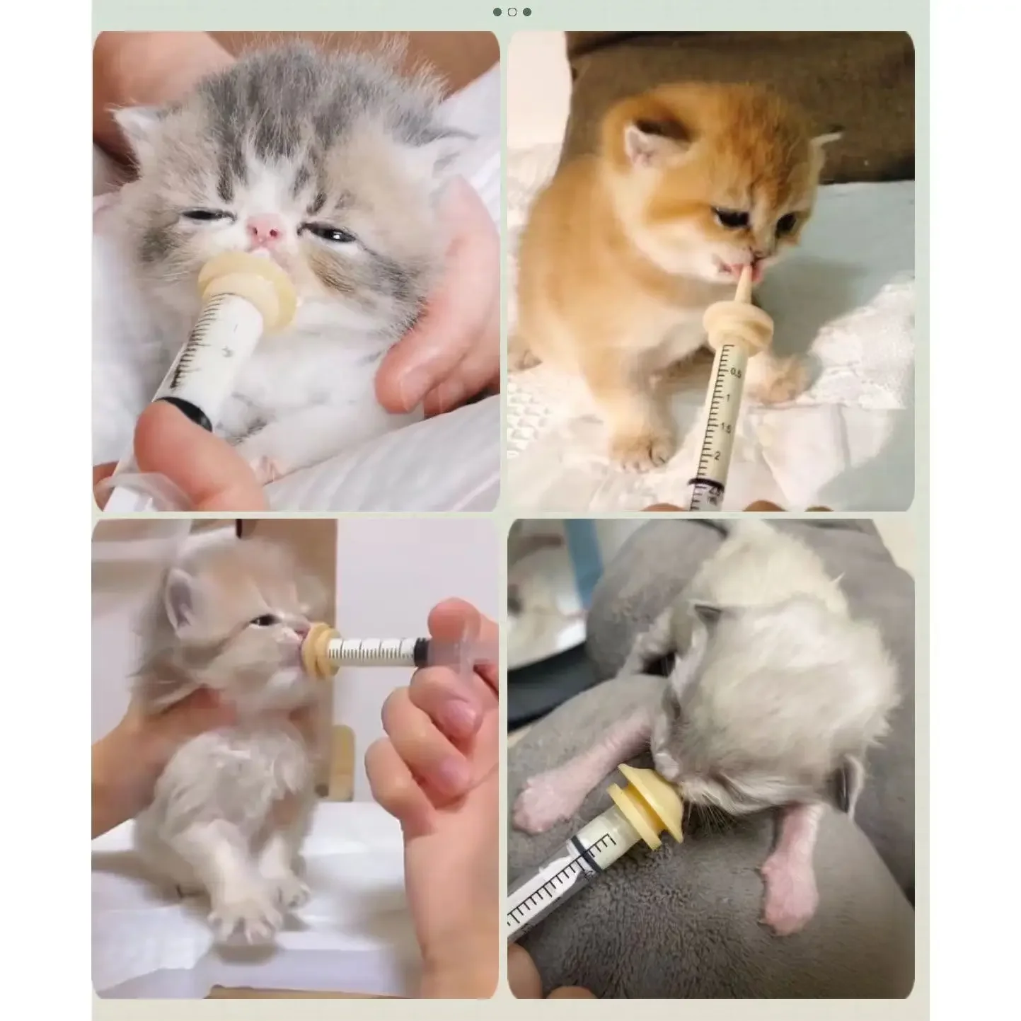 Newborn Pet Feeding Nipple Dog Cat Feeding Pacifier Hamster Rabbits Kittens Puppies Feeding Bottle Syringe with Silicone Nipple