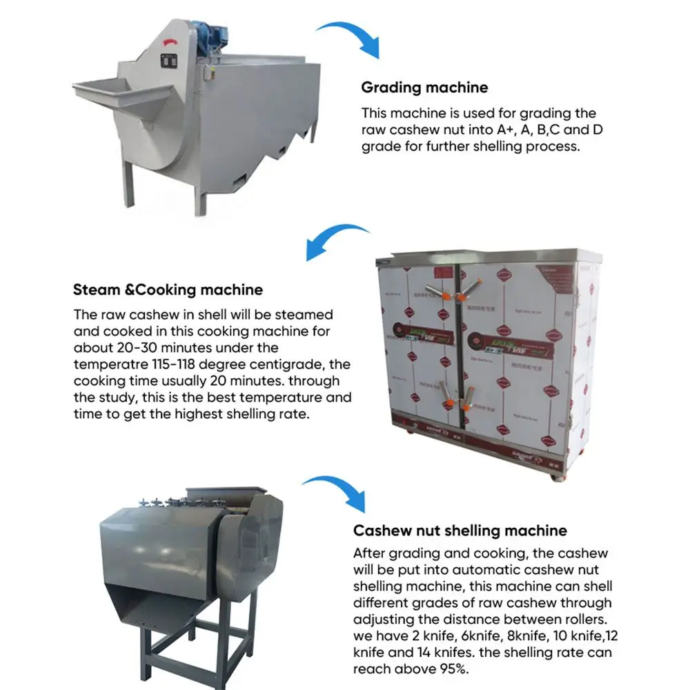 Nut Shelling Machine Continuous Working Sheller for Mixed Nuts Cracking Snack Factory Processing