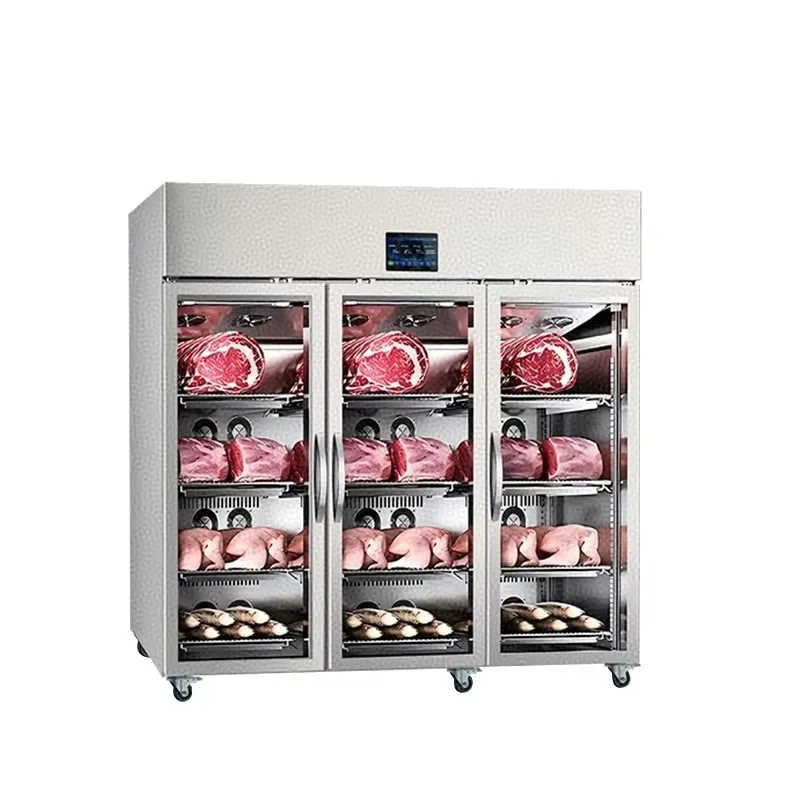Commercial Thawing Cabinet Stainless Steel Frozen Meat Seafood Defrosting Equipment for Food Processing