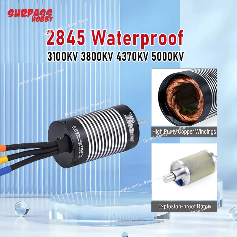 

SURPASS HOBBY 2845 3100KV 3800KV 4370KV 5000KV Waterproof Brushless Motor for RC Drift Cars Crawler WLtoys 12428 Car