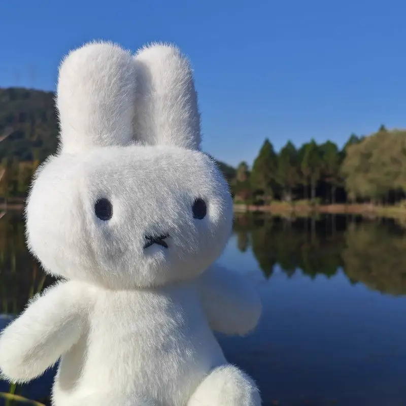 

В наличии: Официальная оригинальная плюшевая кукла Vipo Miffy, игрушка Борис Миффи, аниме-плюшевая кукла, подарок на день рождения, коллекционная игрушка для любителей Миффи