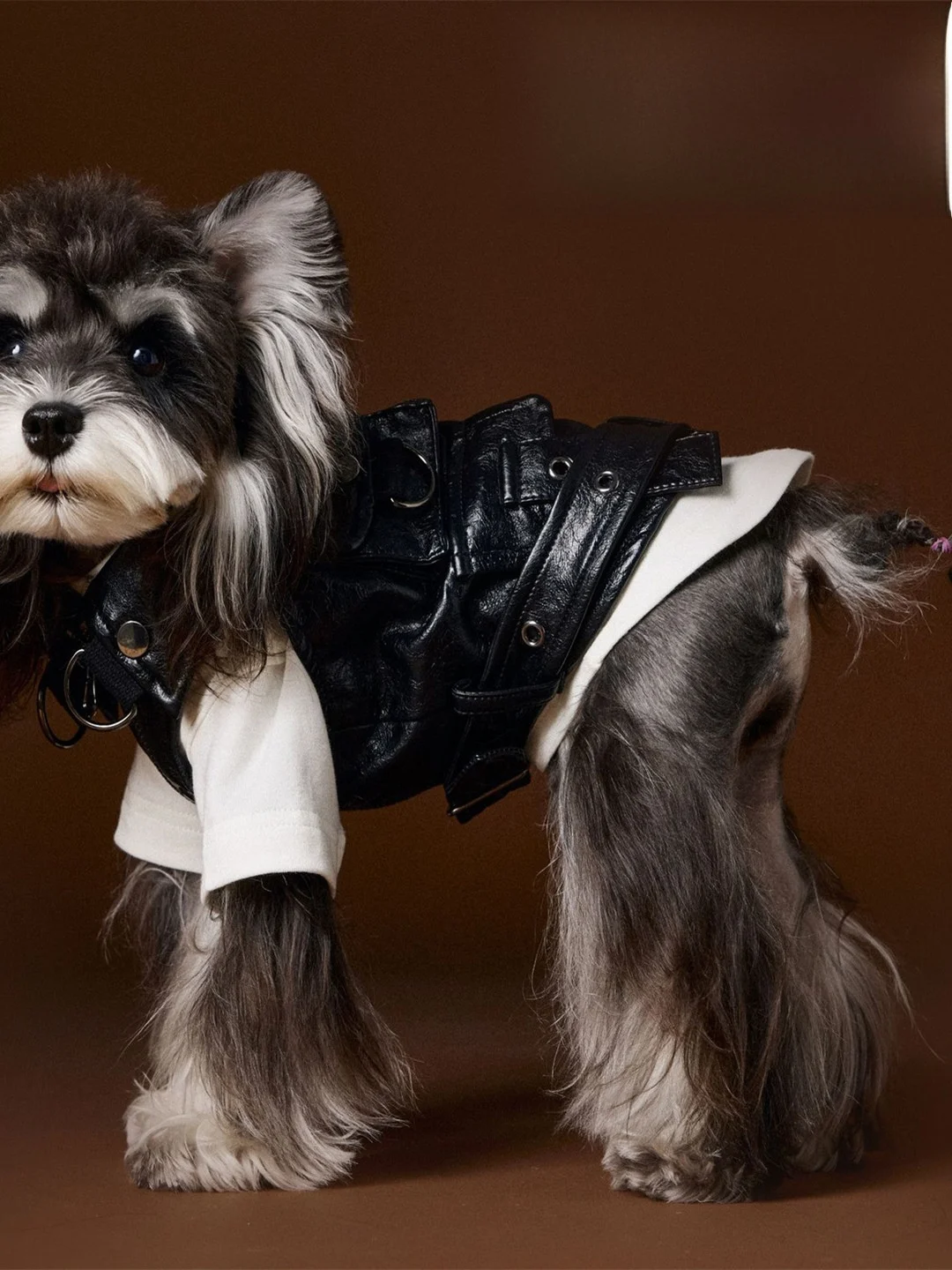 

TawneyBear Tony Bear Одежда для собак Осенняя спецодежда Жилет Померанский шпиц Бишон Мальтийская кожа Джет Верхняя одежда Теплая уличная одежда