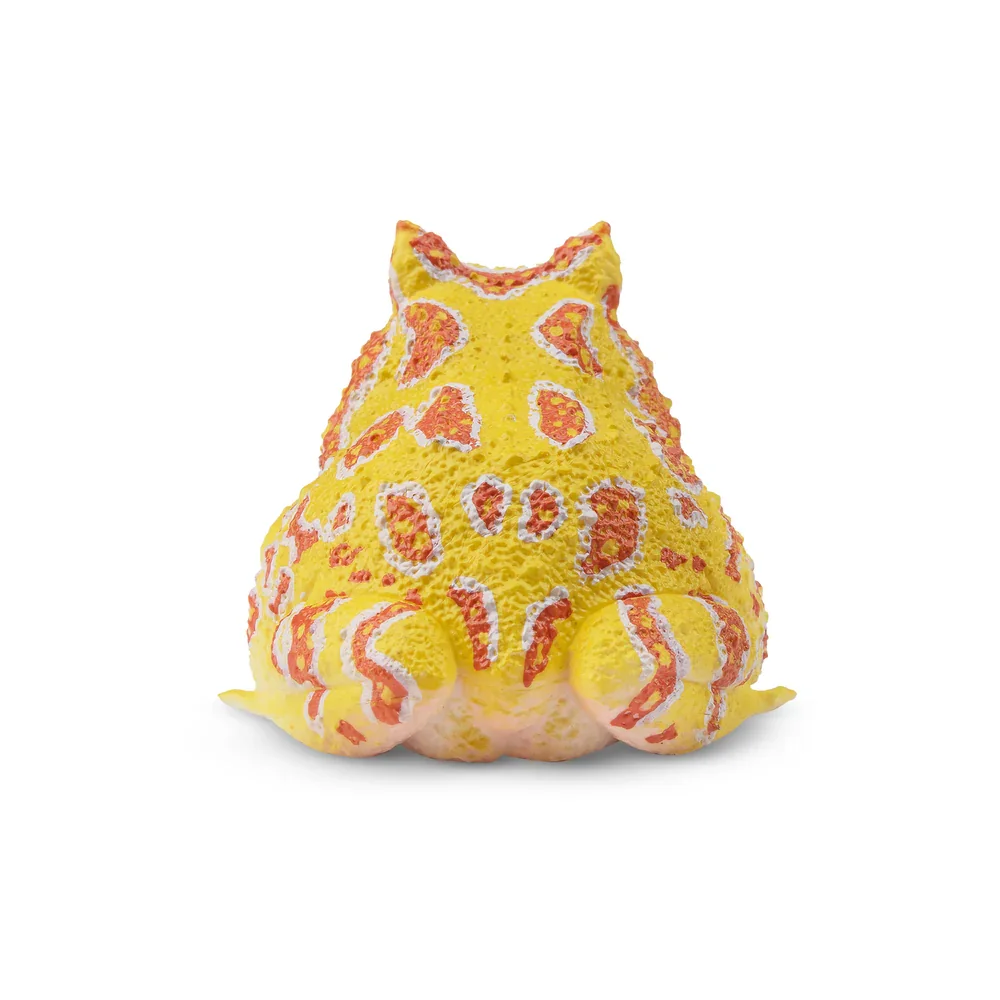 Toymany Simulation  Argentine Horned Frog Reptile Realm Animal Model Toy Mini Figures Dolls Action Figurines Toys Children Gift