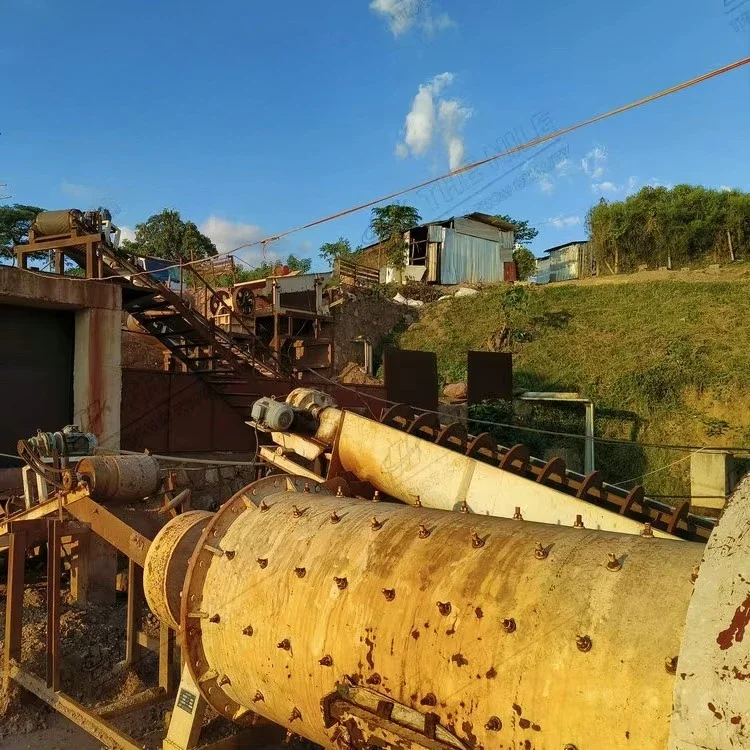 Zimbabwe 10-100 Tpd Capacity CIP Mining Equipment CIL Processing Reagent Gold Leaching Plant