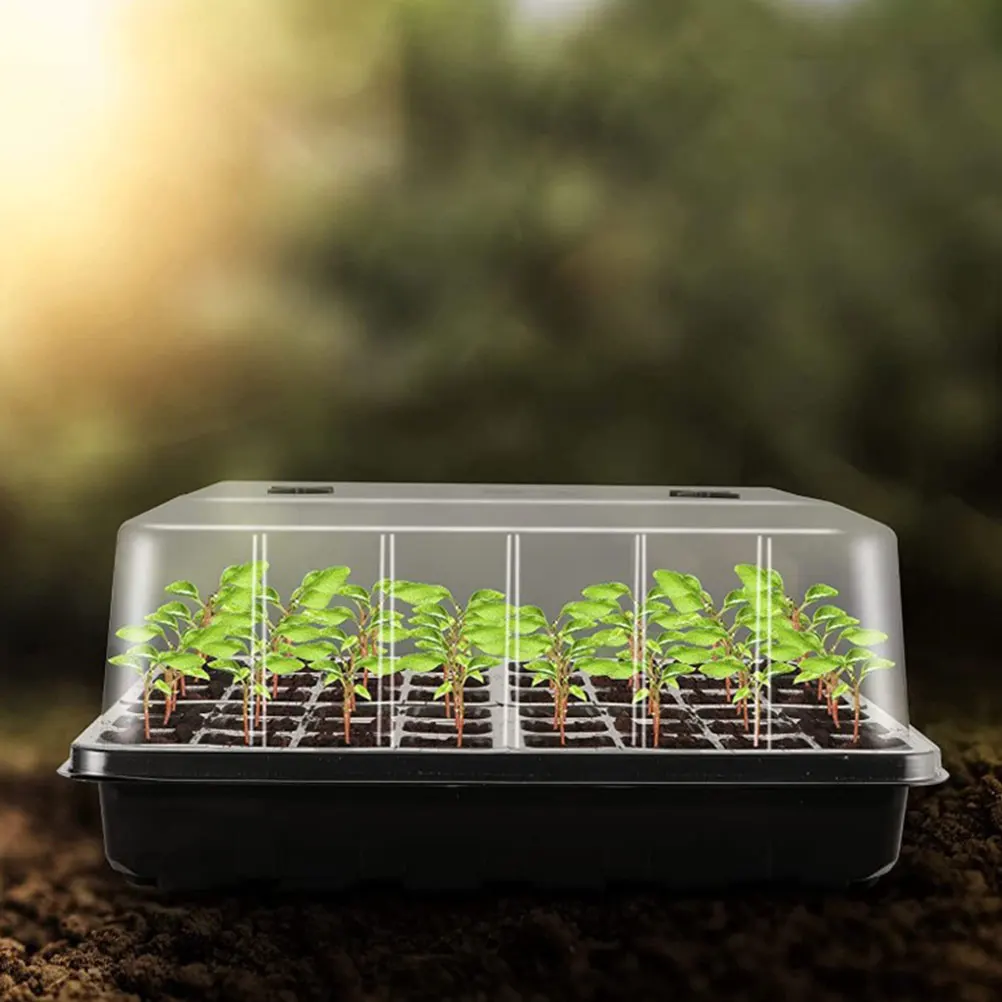 

Seedling Box Plant Germination Containers Durable PP Material 24 Hole Design High Budding Rate Wheat Grass Radish Cabbage