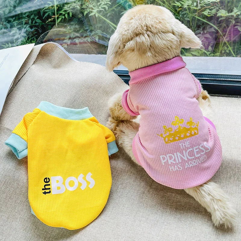 Dog Autumn and Winter Clothes Pet Pullover Sweater Candy Color Foreign and Cute Two legged Clothing Pet Handsome American Clothi