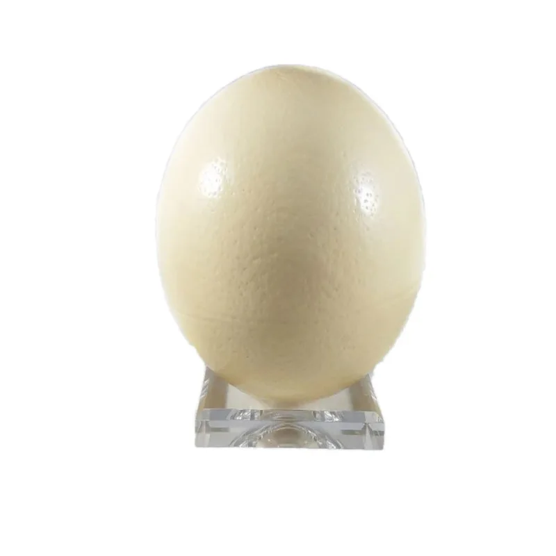 

Quality Crystal Ball Stand Acrylic Egg Display Dimple Holder Square Beveled Base For Global Ball Sphere Stand