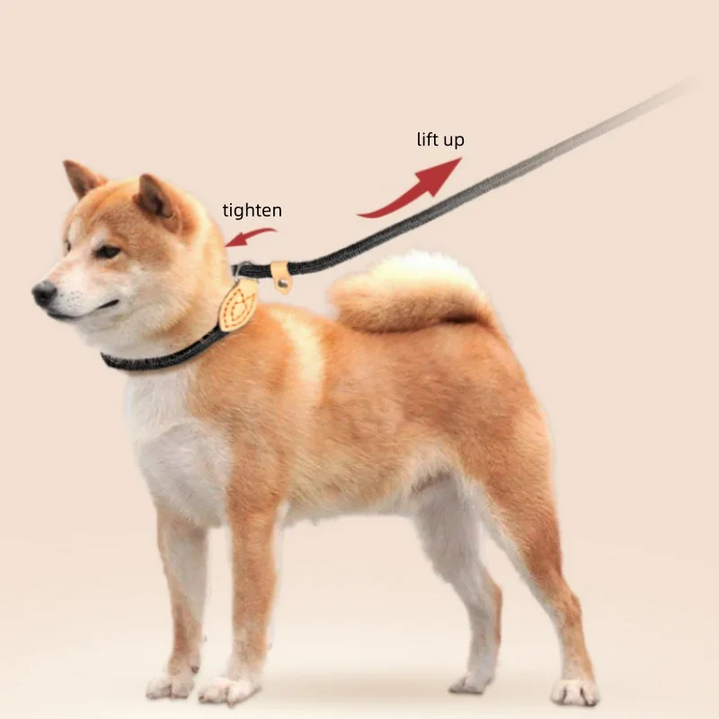 Heavy Duty Slip Rope Leash 3