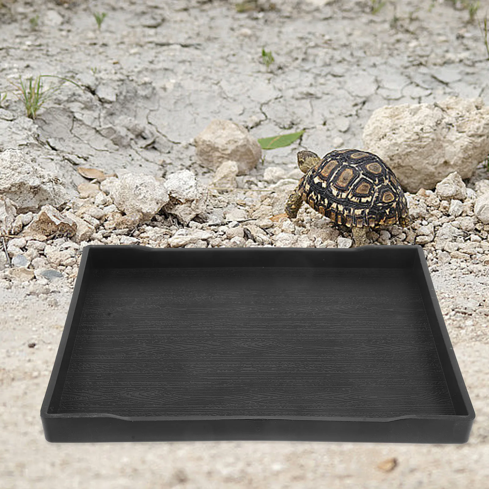 وعاء تغذية الزواحف غير القابل للكسر، مستلزمات السلاحف الضحلة السوداء الكبيرة، طبق الماء، وعاء الزواحف، مستلزمات الحيوانات الأليفة #2