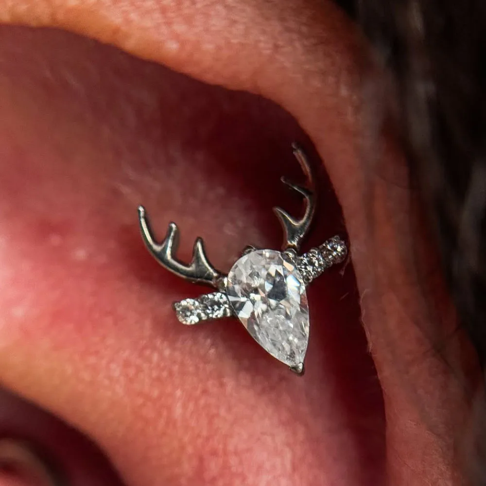 G23 Titanium Deer Antler Labret Stud Water Drop Zircon Internal Thread Cartilage Tragus Helix Ear Piercing Body Piercing Jewelry