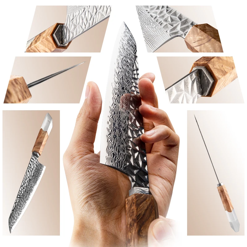 Grandsharp 8 Inch Kitchen Chef Knives 67 Layers AUS-10 Damascus Steel Best Cooking Cutting Tools Stabilized Wood & Resin Handle